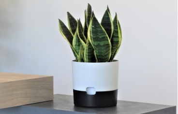 vita6773 2053 1317 368 236