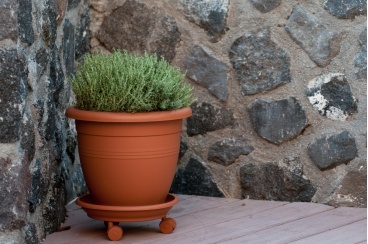 terracotta4405 368 244 368 244