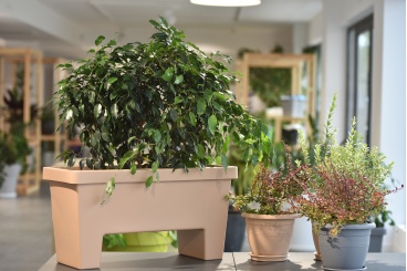 2_and_6280 6016 4016 368 245