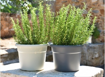 cylindro5981 368 271 368 271