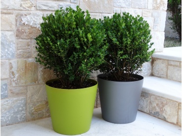 innova1046 368 275 368 275