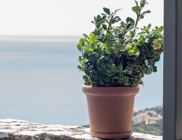 gea_2180c 368 283 368 283