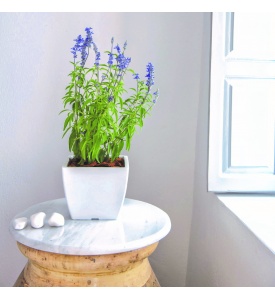 Linea square flowerbowls matt