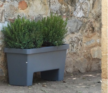 lotus_oasis4063 3177 2742 368 317