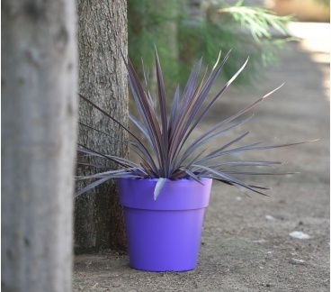 linea_round6019_909981763 368 324 368 324