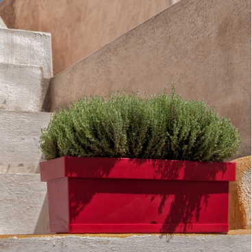 linea_jardinieres_4298 2187 2186 368 367