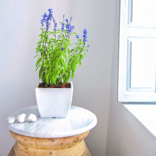 Linea square flowerbowls matt