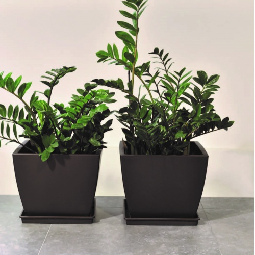 Linea square flowerbowls matt