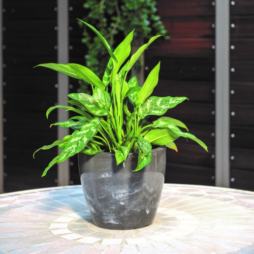 Linea flowerbowls natura