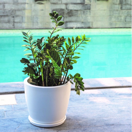 Linea flowerbowls gloss