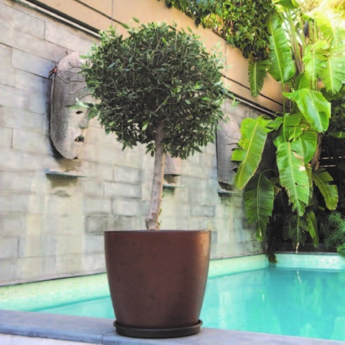 Linea flowerbowls natura