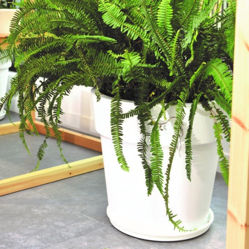 Linea round low flowerpots