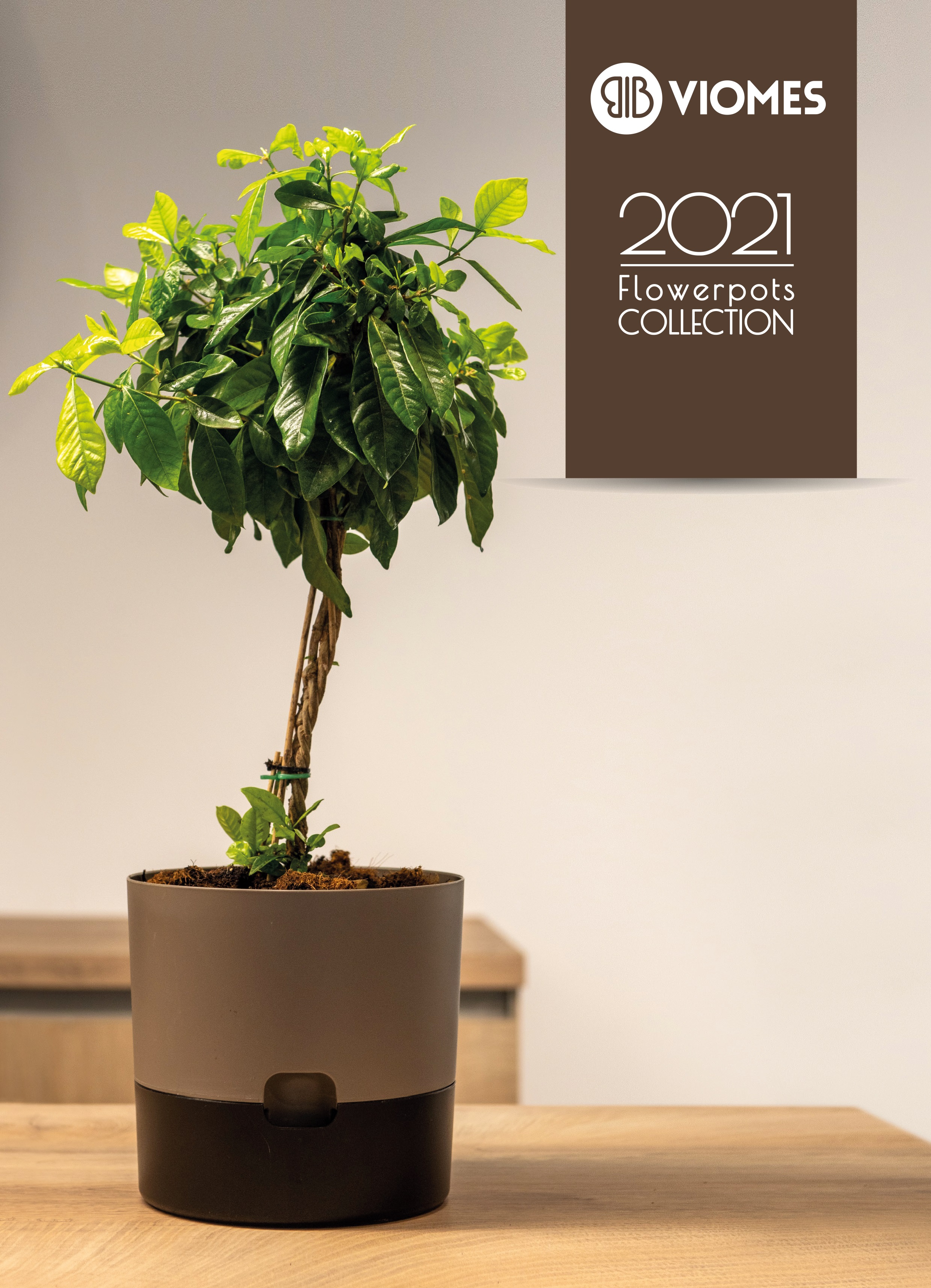 ΟΙ ΚΑΤΑΛΟΓΟΙ ΜΑΣ