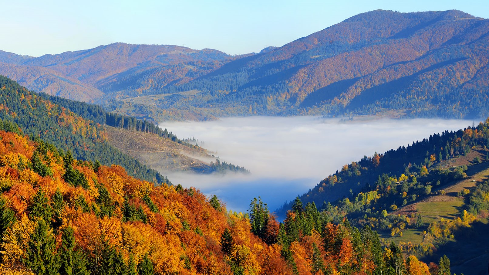 Περιβάλλον